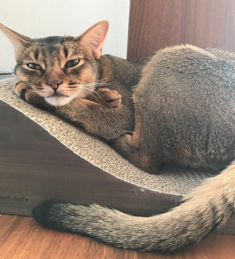 0107 活動レポートあけまして (1)