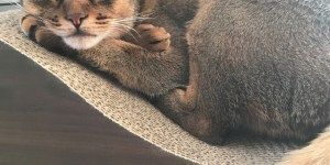 0107 活動レポートあけまして