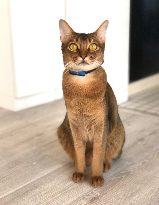 1031 活動レポートキトン1 (1)