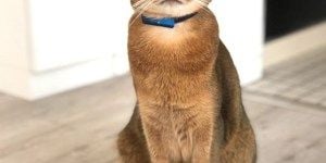 1031 活動レポートキトン1