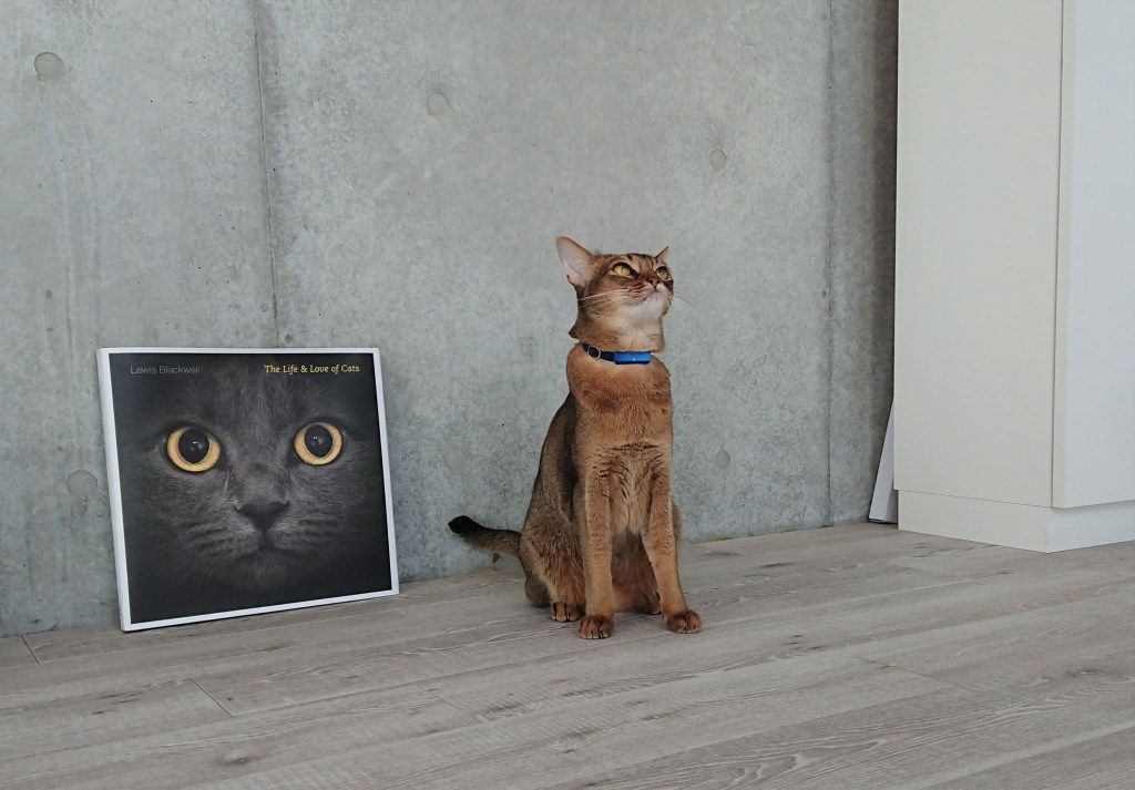 1101 ブリ丸キトン４