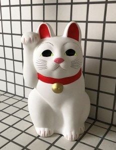 1105 活動レポート マネコ