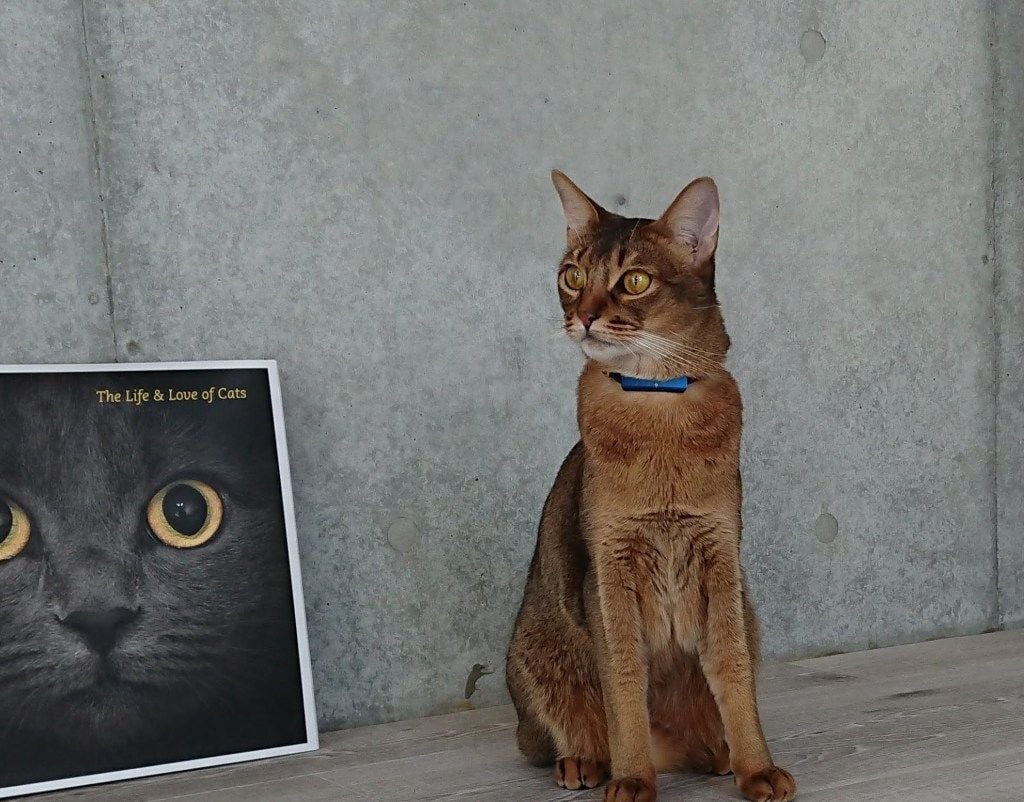 1113 活動レポートキトン2