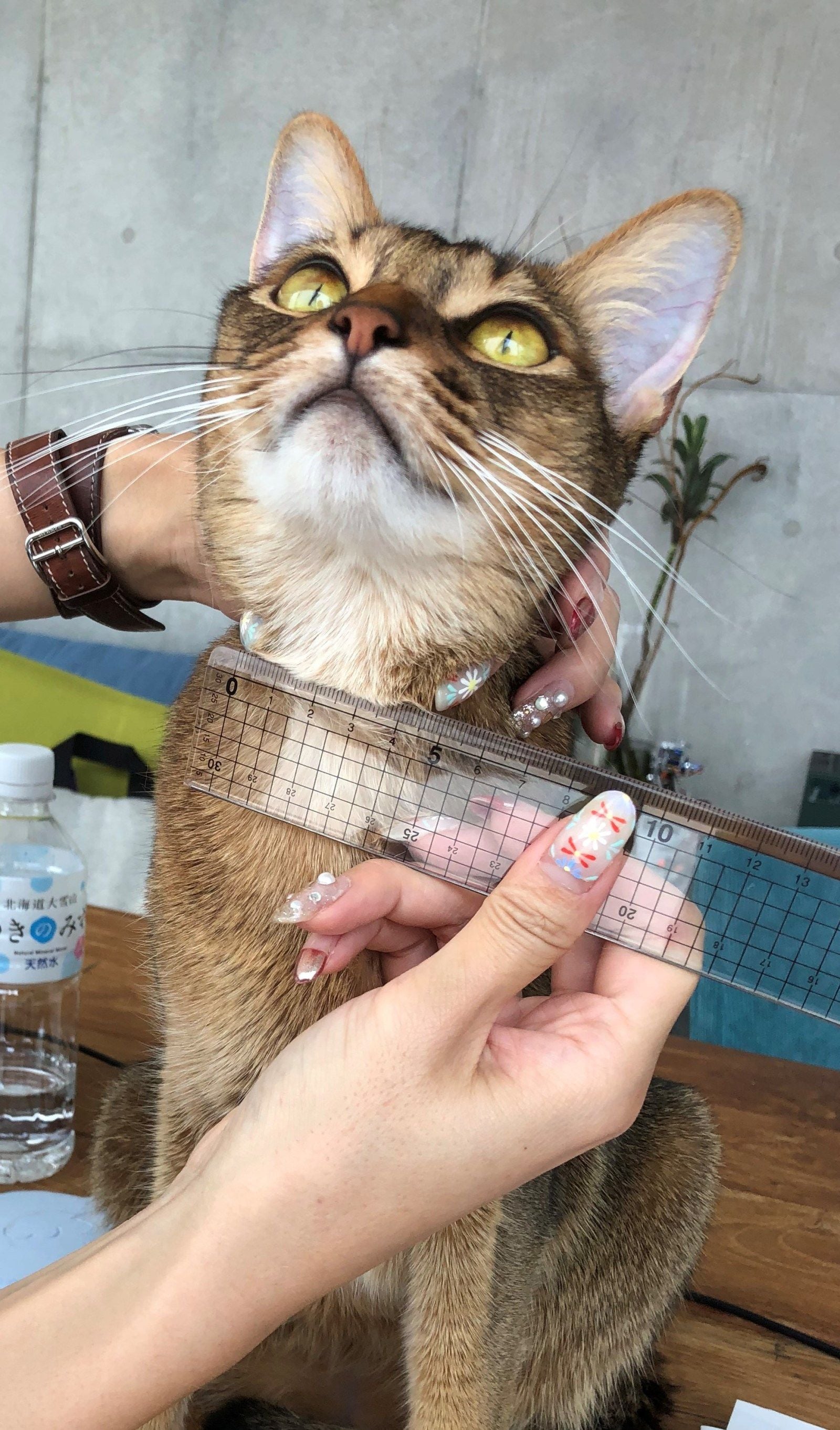 1115 活動レポートhakaru (1)