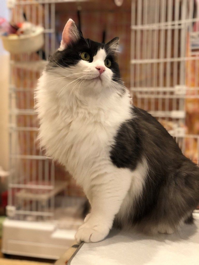 1128 活動レポート ここたん (1)