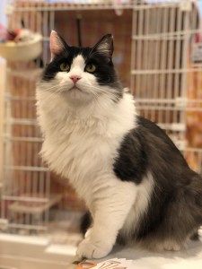 1128 活動レポート ここたん2