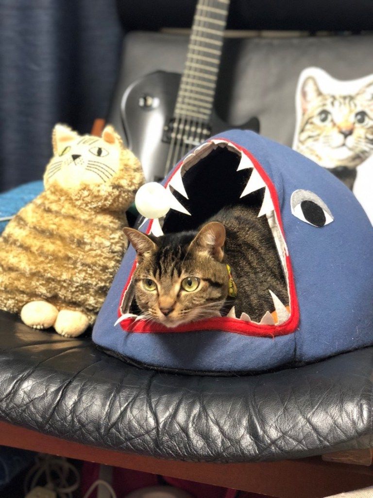 1203 活動レポート むにおlight (1)