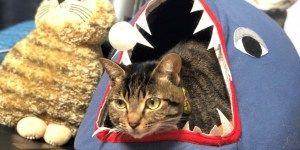 1203 活動レポート むにおlight