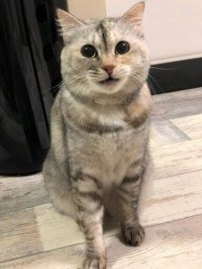 1207 活動レポートランちゃん2