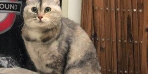 1207 活動レポートランちゃん