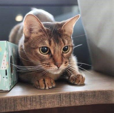 1210 活動レポートみまもり