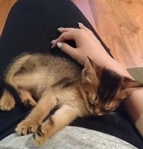 16-05-14-19-57-32-694 deco (1)