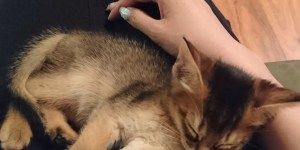 16-05-14-19-57-32-694 deco