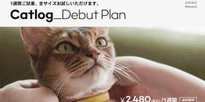 1週間ご試着､全サイズお試しいただけます｡ Catlog_Debut Plan
