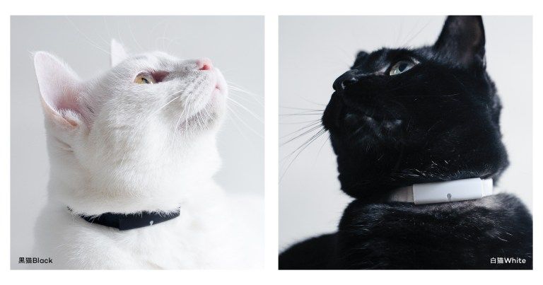 1周年を記念したPendant新色