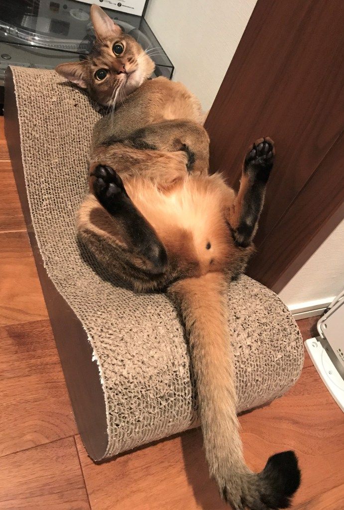 20181220 活動レポート主人 (1)