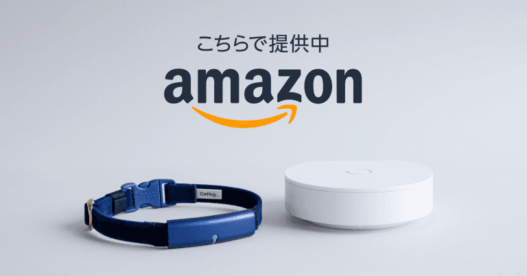 20200331 Amazon (1)