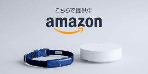20200331 Amazon