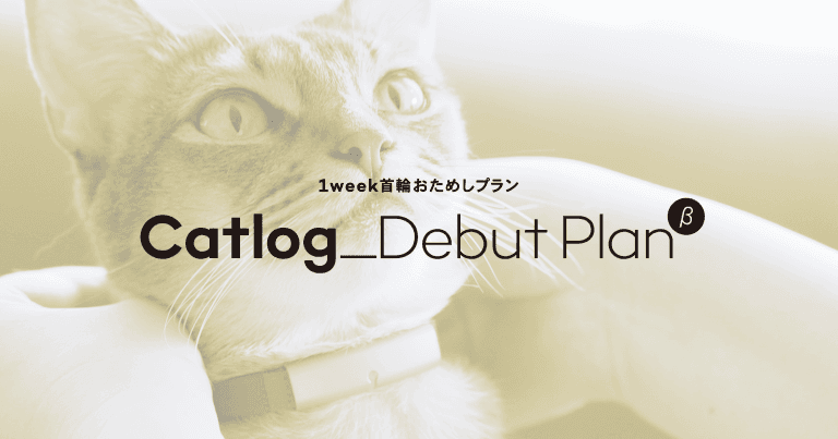 20200413 DebutPlan-1 (1)