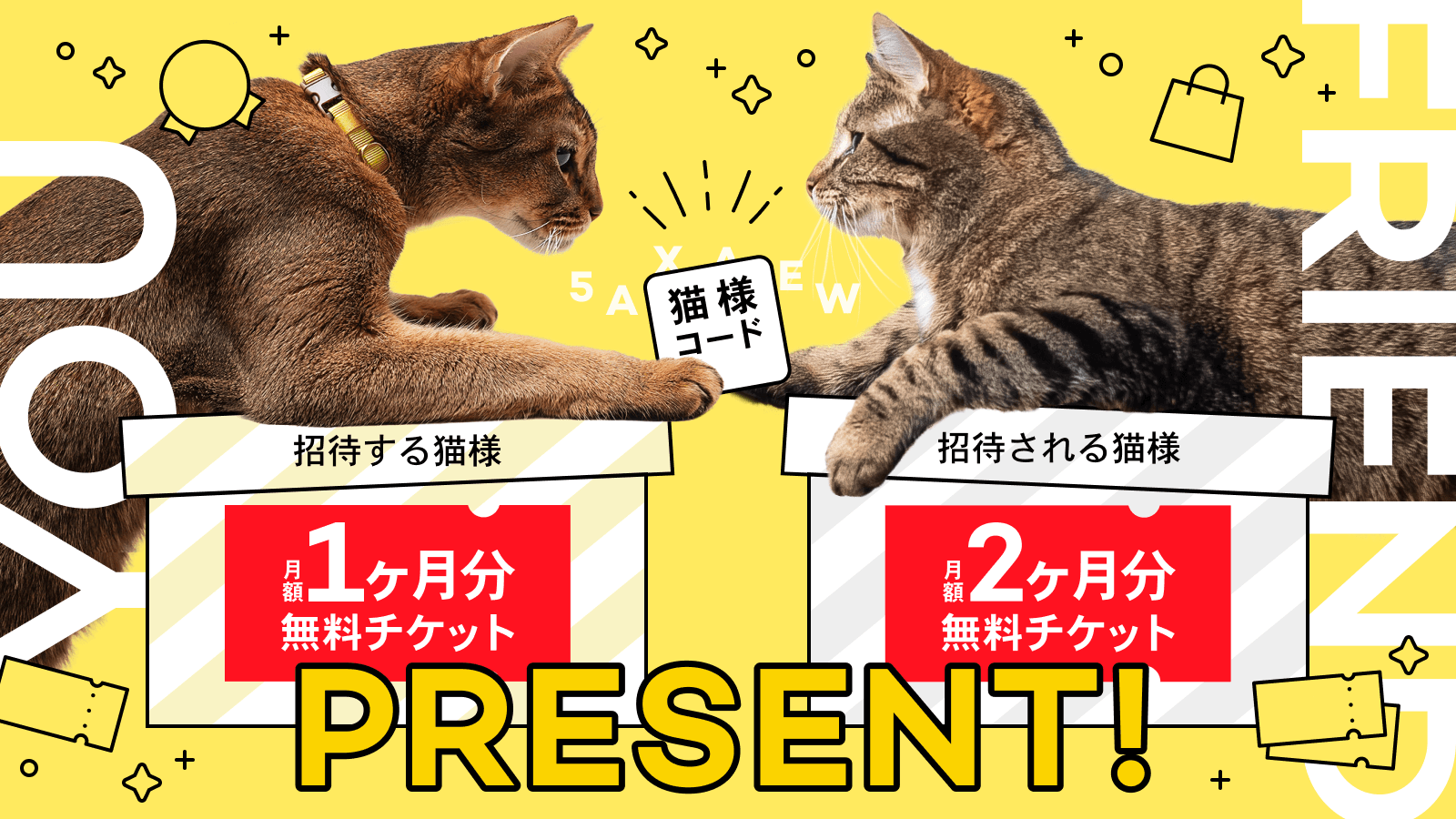 Catlog®︎に猫様を招待できる『猫様コード』がパワーアップ★招待する猫様は1ヶ月分、招待される猫様は2ヶ月分、月額の猫様メンバーシップ料金が無料に!本日開始の猫の日キャンペーンより適用ᗢᘏᓗ