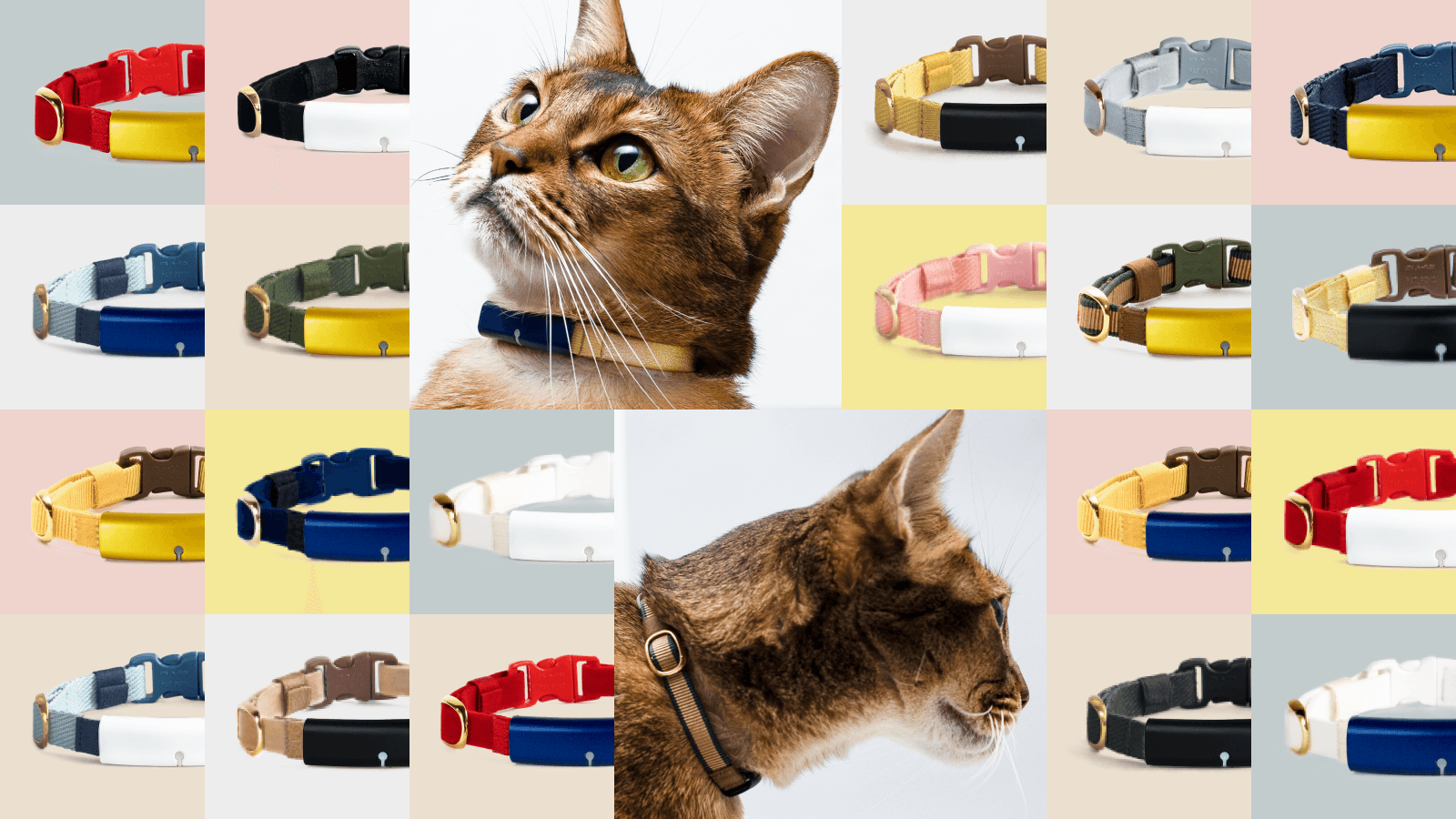 230808 CollaboBelt-2