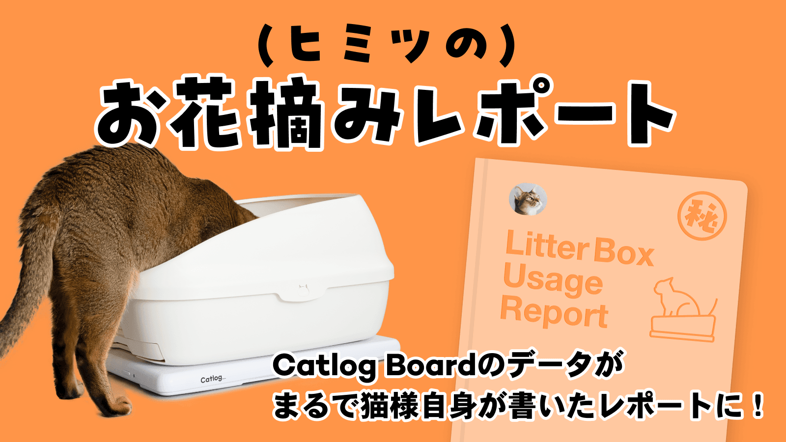 『ヒミツのお花摘みレポート』企画がスタート!ご愛猫様のレポートをシェアして、抽選で猫様メンバーシップ料金1ヶ月無料チケットをゲットしよう