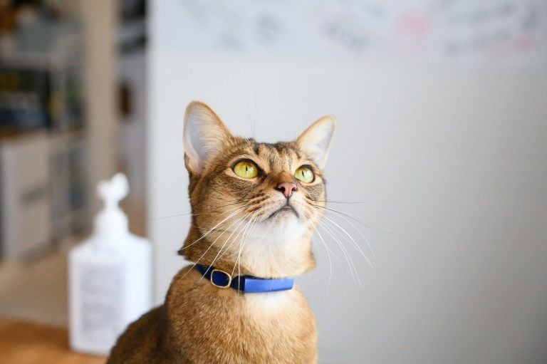 46679758864 4de4ca86db k