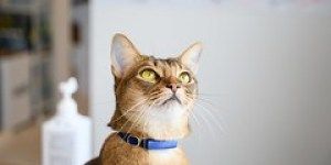 46679758864 598f93610c m