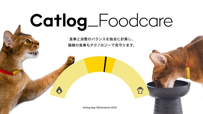 Catlog_Foodcare 食事と消費のバランスを独自に計算し、猫様の食事もテクノロジー��で見守ります。 Catlog App iOS/Android v2.5.0