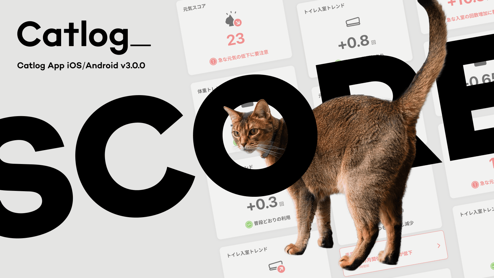 Catlog®︎に愛猫のコンディションが3秒でわかる『スコア表示』が登場!データから「元気スコア」など、最新の猫様の調子がわかるように。