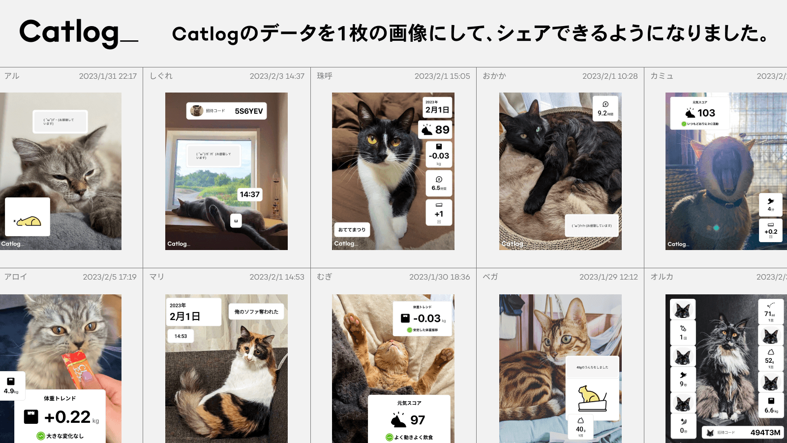 Catlogのデータを1枚の画像にして、シェアできるようになりました