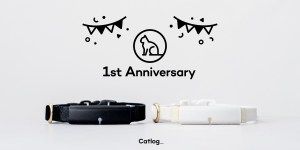 Catlog 1st Anniversary