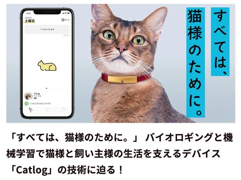 すべては、猫様のために。 バイオロギングと機械学習で猫様と飼い主様の生活を支えるデバイス「Catlog」に迫る!