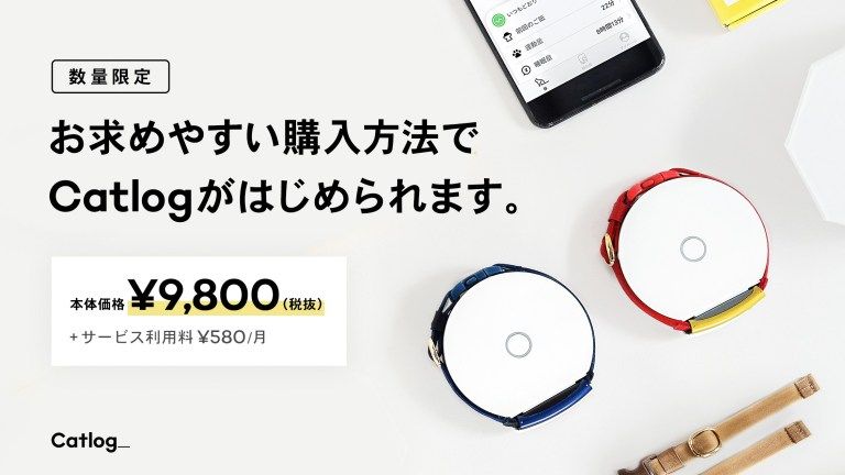 お求めやすい購入方法でCatlogがはじめられます｡
