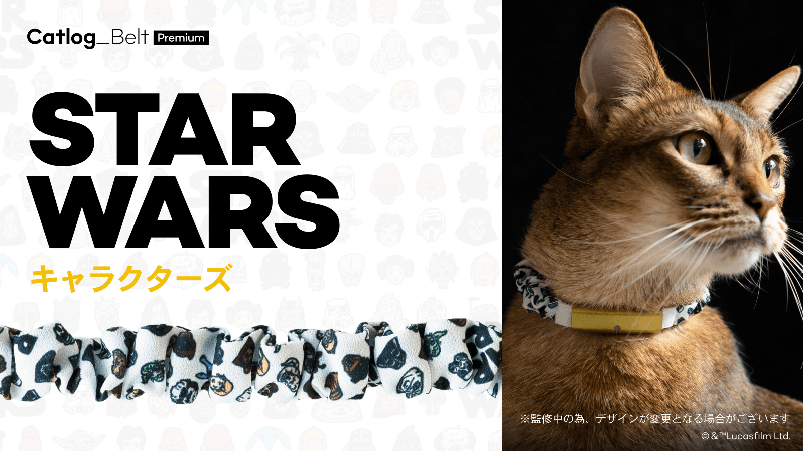 Catlog Belt Premium STAR WARS キャラクターズ
