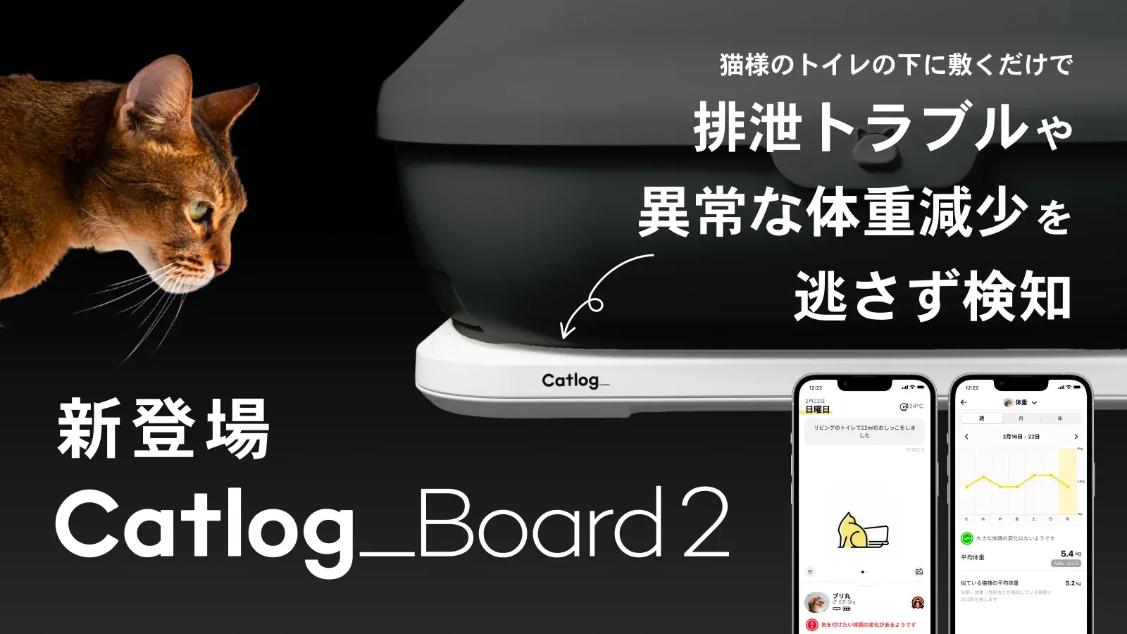 猫様の排泄トラブルや異常な体重変化をAIが検知する『Catlog Board』の第2世代が新登場！薄型化＆軽量化、電池寿命20%向上、WPA3対応でさらにパワーアップ💪
