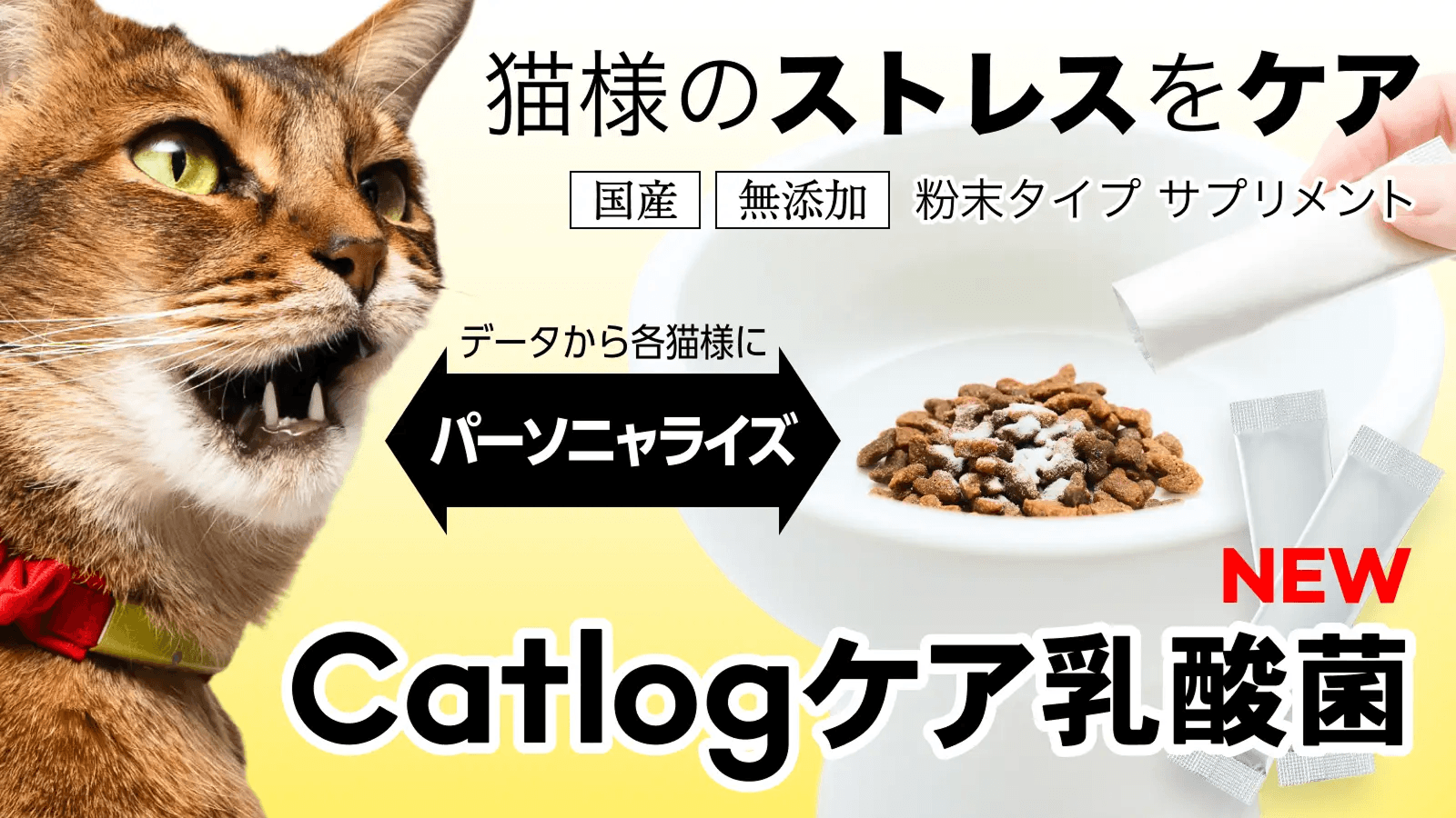 Catlog®、猫様のストレスをケアするために、Catlogデータから各猫様にパーソニャライズされた特許出願中の乳酸菌サプリメント『Catlogケア乳酸菌』を販売開始！