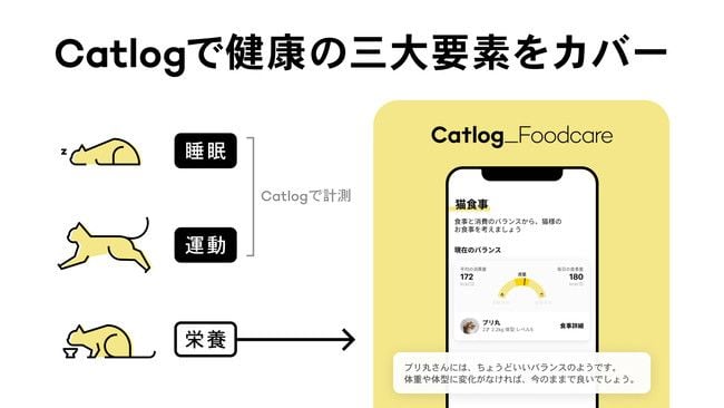 Catlogで健康の三大要素をカバー 睡眠・運動:Catlogで計測 栄養:Catlog_Foodcare アプリの表事例 「ブリ丸さんには、ちょうどいいバランスのようです。体重や体型に変化がなければ、今のままで良いでしょう。」