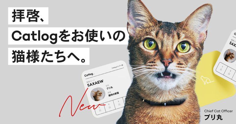拝啓、Catlogをお使いの猫様たちへ。Chief Cat Officer ブリ丸