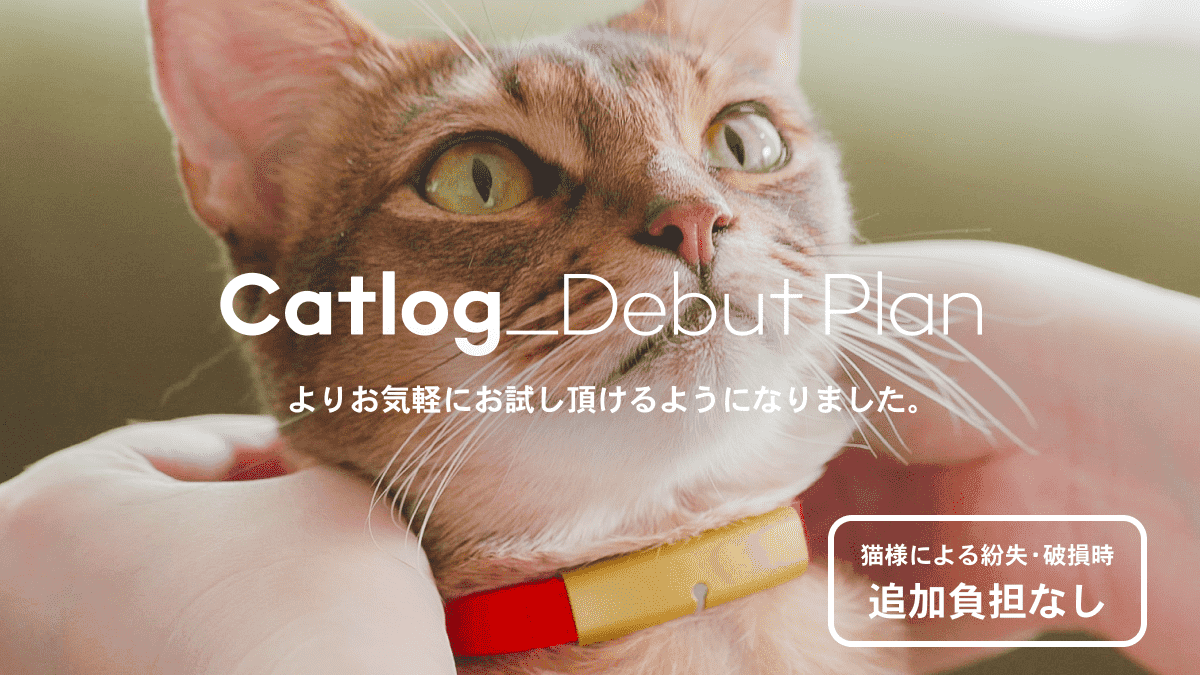 Catlog Debut Plan よりお気軽にお試し頂けるようになりました。 猫様による紛失・破損時は追加費用なし