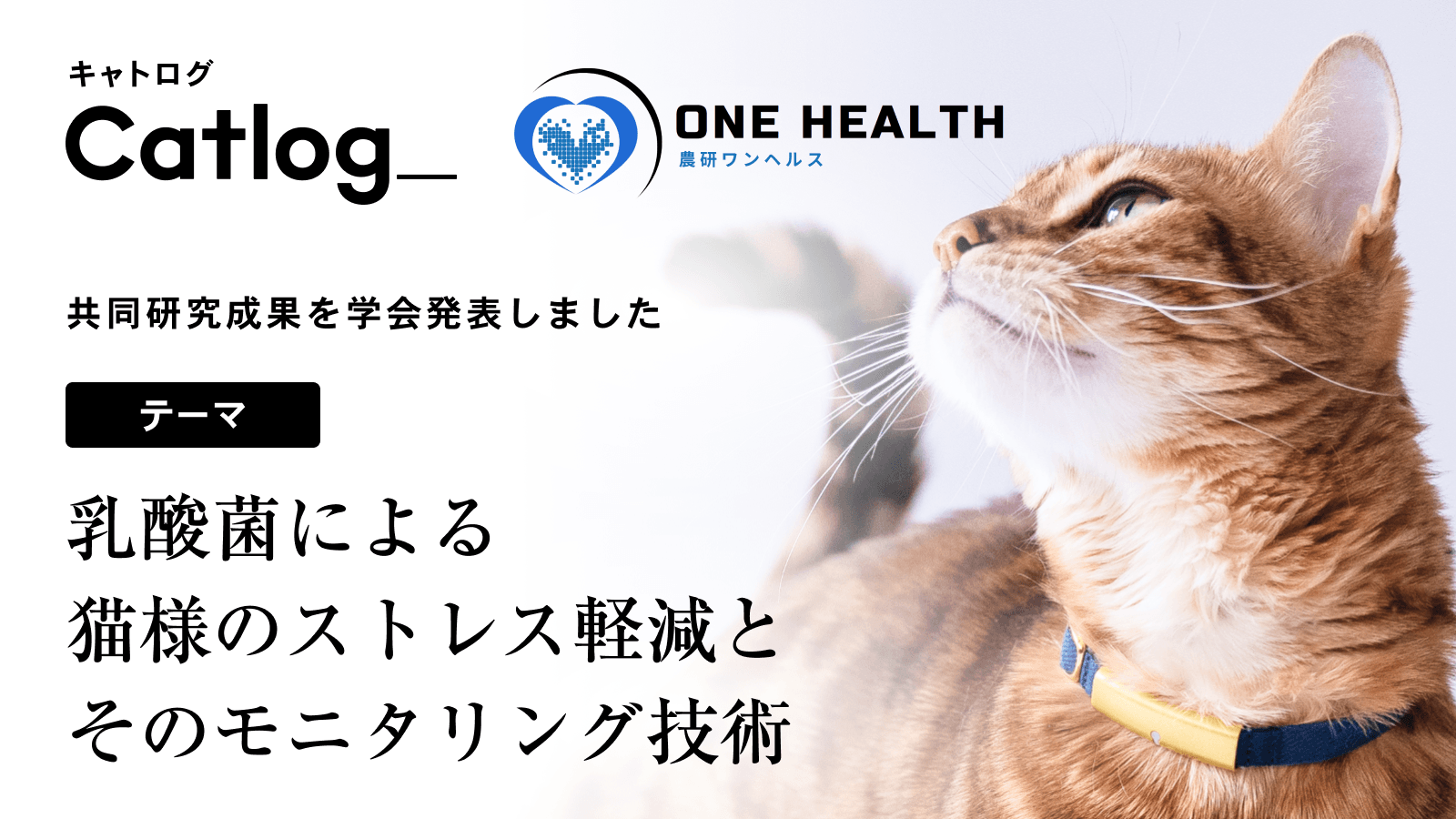 乳酸菌による猫様のストレス軽減とそのモニタリング技術について、農研ワンヘルス株式会社との共同研究成果を学会発表しました!