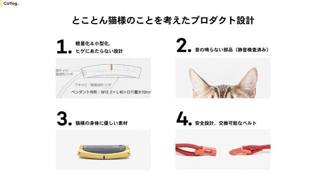 Catlog ProductDesign