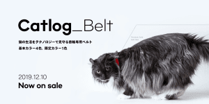 付け替え用Catlog Beltの販売をはじめました
