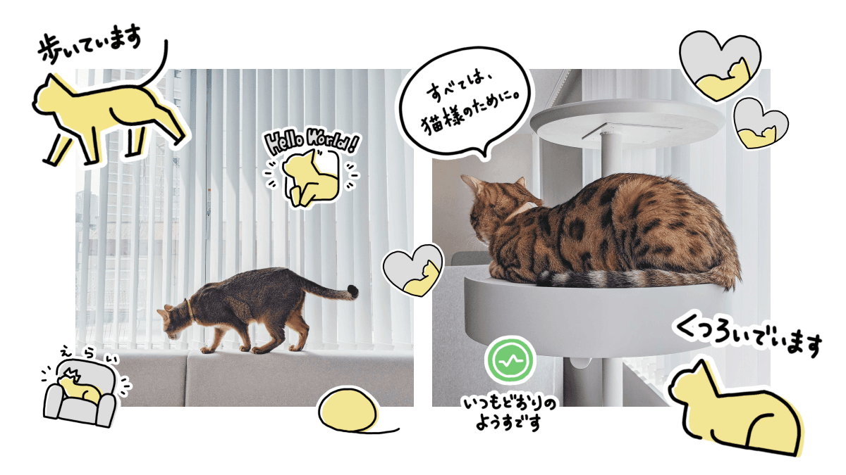 Catlogスタンプで写真を加工した場合のイメージ画像 歩いているブリ丸の写真とキャットタワーの上でくつろぐおでんの写真に、『歩いています』『Hello World!』『えらい』『丸まっている猫様のイラスト』『ハート』『すべては、猫様のために。』『ハート』『いつもどおりの様子です』『くつろいでいます』のスタンプを載せたイメージ