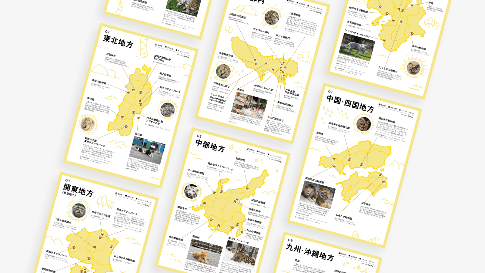 猫科MAP内容イメージ