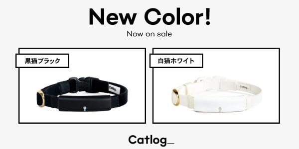 New Color! 黒猫ブラックと白猫ホワイト