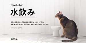 猫様の「水飲み」が記録できるようになりました!
