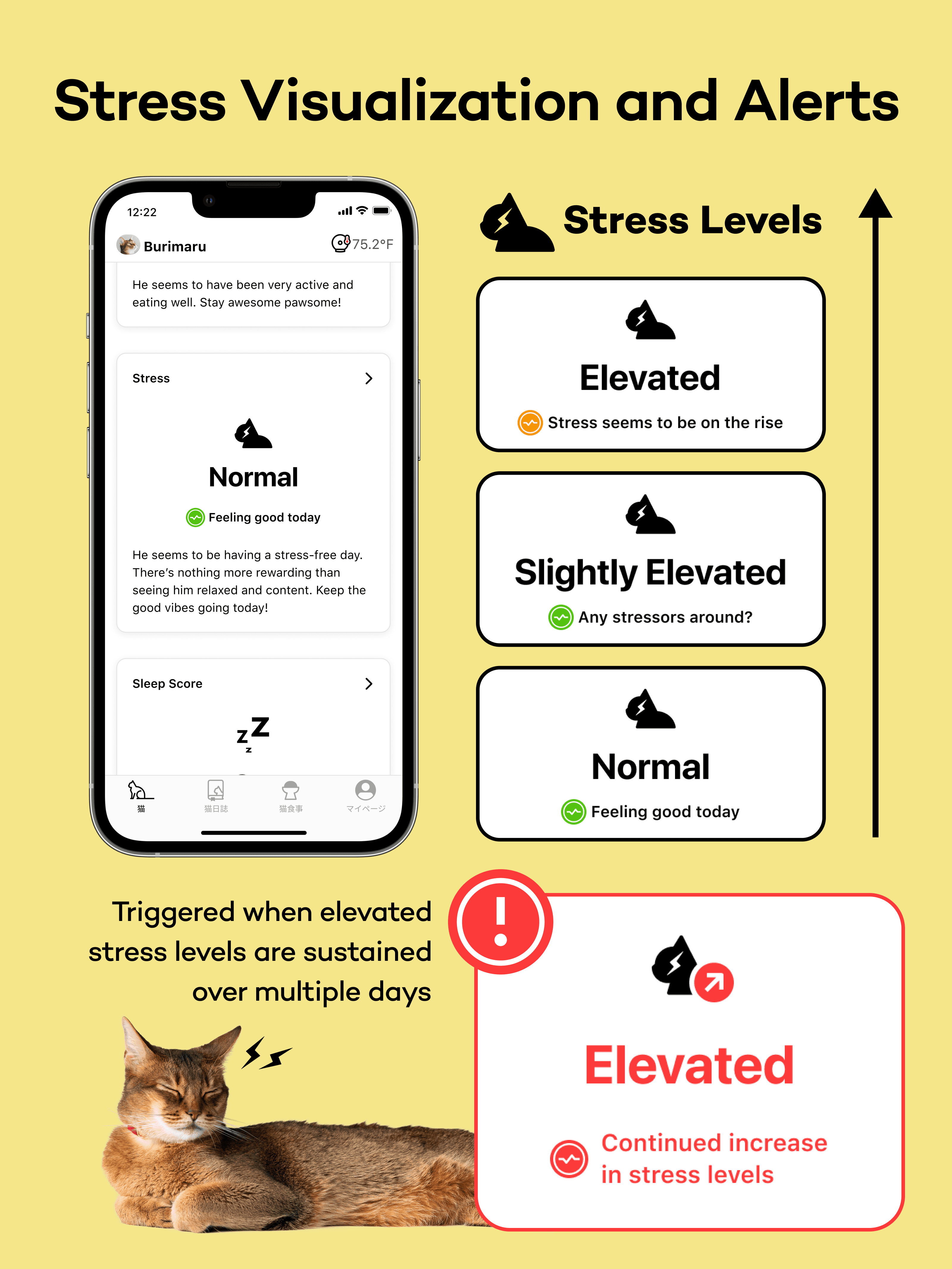 StressScore-2025-07-17-2