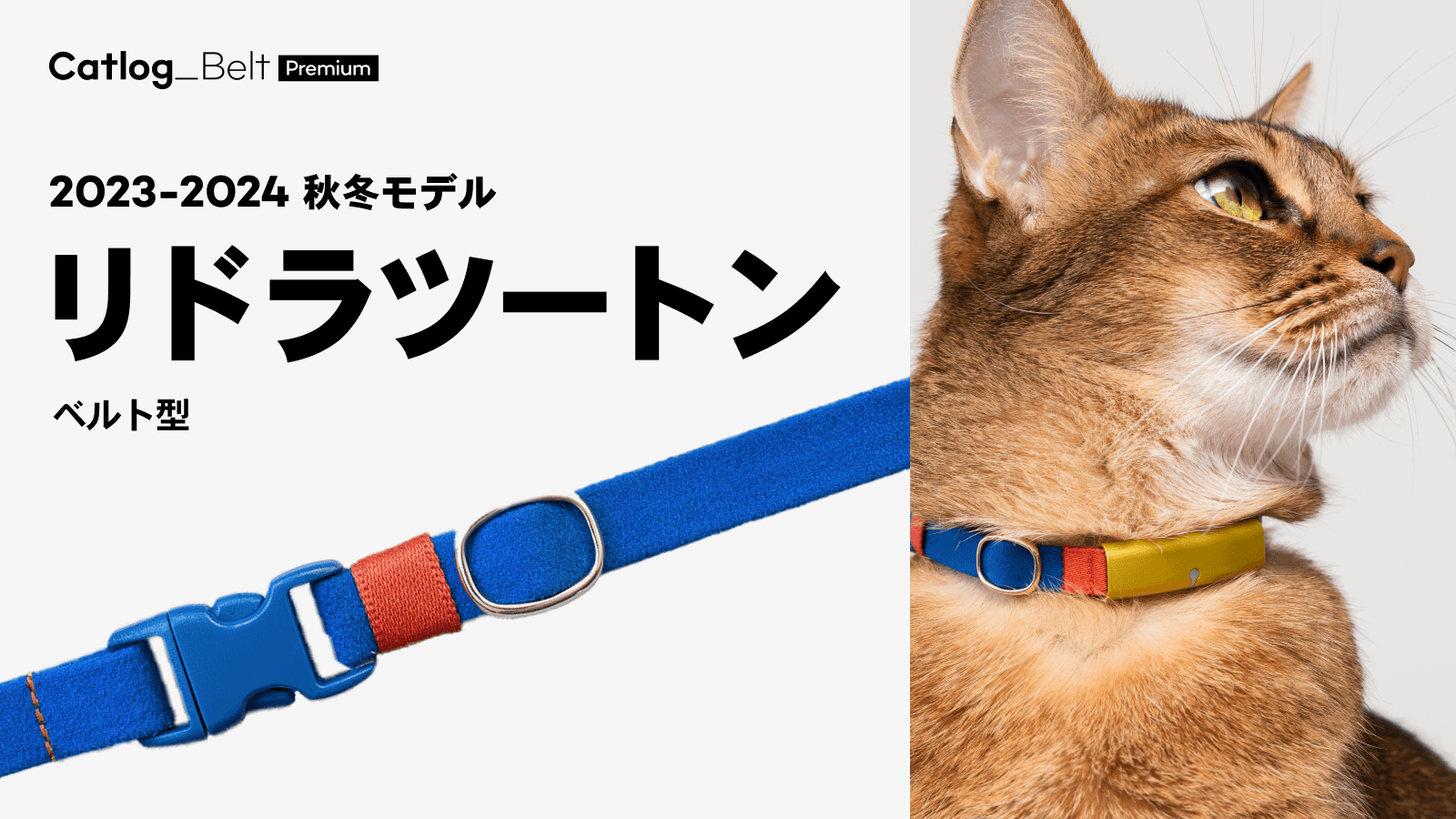 リドラツートン