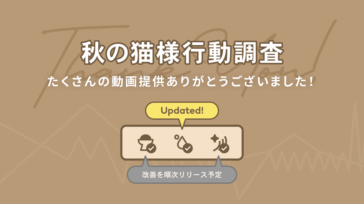 秋の猫様行動調査　たくさんの動画提供ありがとうございました！ 